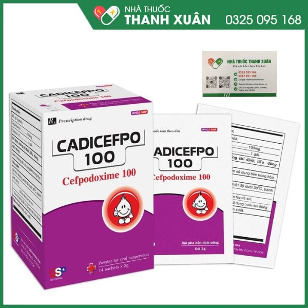 Cadicefpo 100 điều trị các bệnh từ nhẹ đến trung bình ở đường hô hấp dưới, hô hấp trên